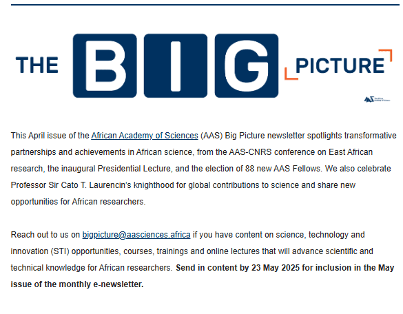 The Big Picture (April 2025 Issue)