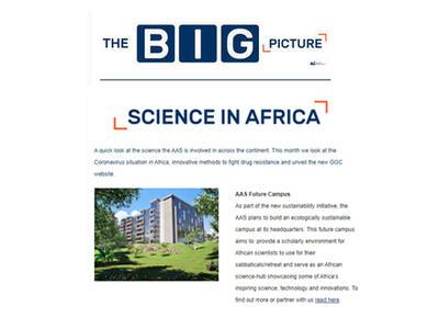 The Big Picture