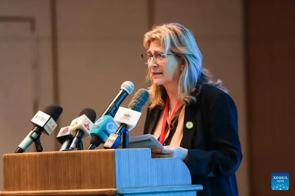 Chinese, African experts join force to advance collaboration on food security, agricultural modernization